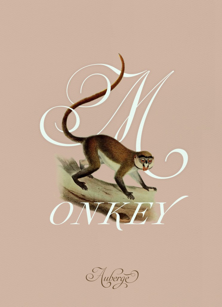 Ale Paul, Auberge Script, Monkey
