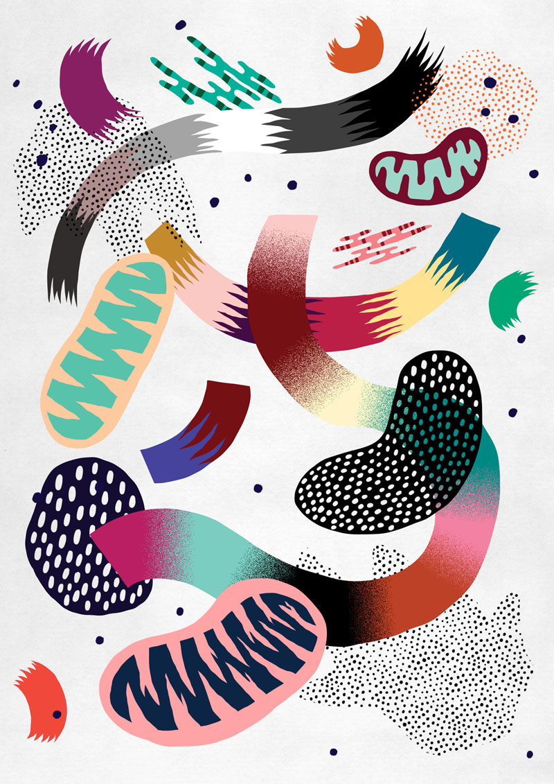 Amazing Danish Super Studio Hvass & Hannibal is a Match Made in