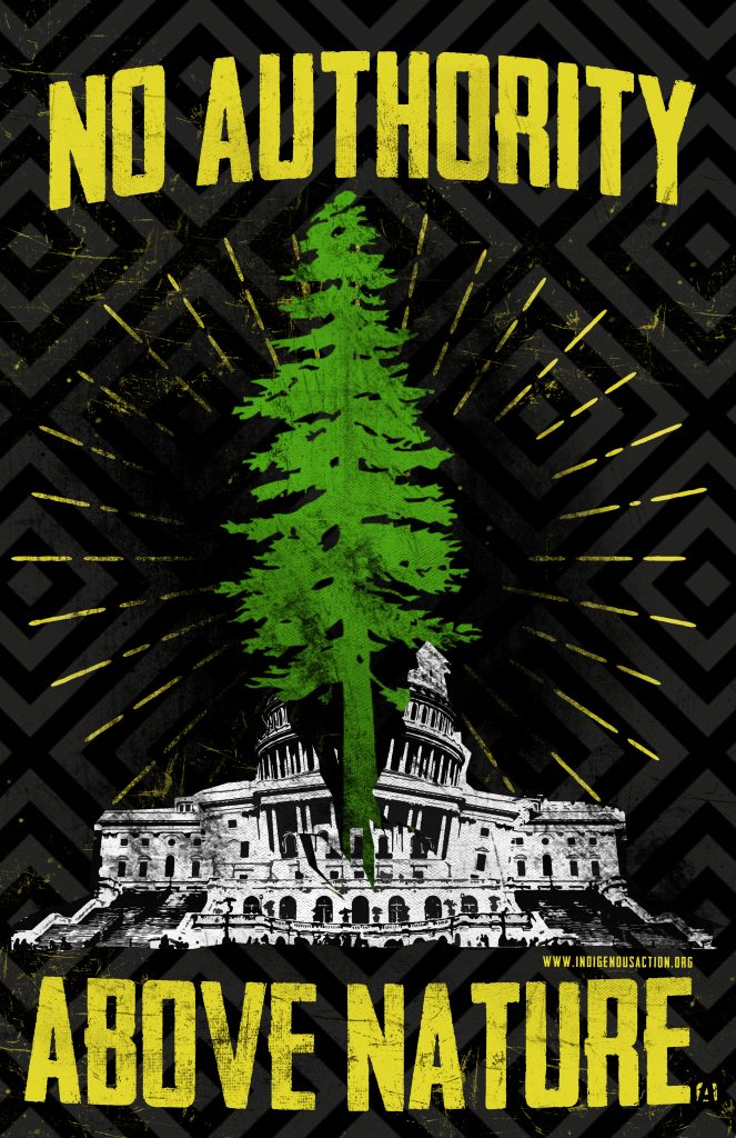 A poster with a black background, a evergreen in the center, and the words "No Authority Above Nature" printed above and below the tree