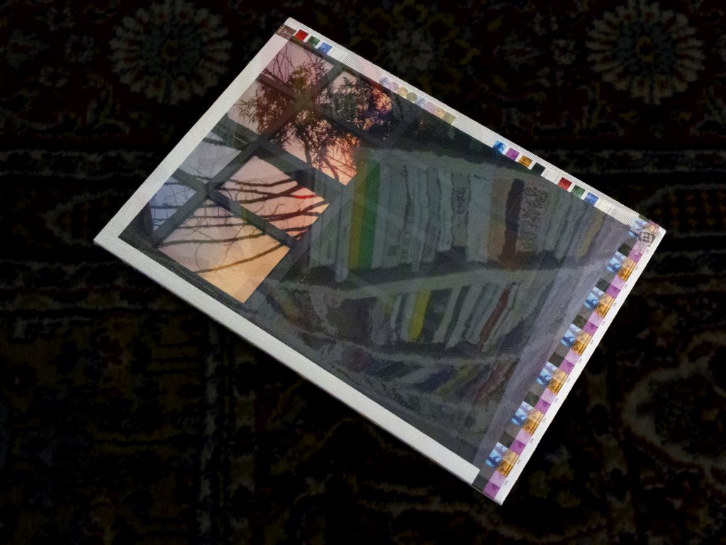 A book lying on a patterned rug. The book’s cover is a photograph of a window and some trees, and it looks reflective, like glass.